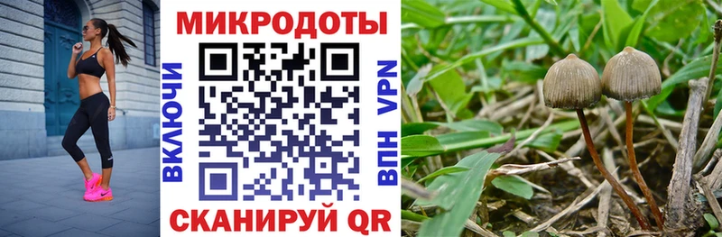 Галлюциногенные грибы мицелий  Купить где  Мурино 