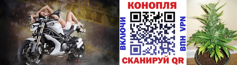 Шишки марихуана VHQ  Купить  Мурино 